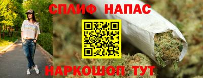 гашик Нарткала