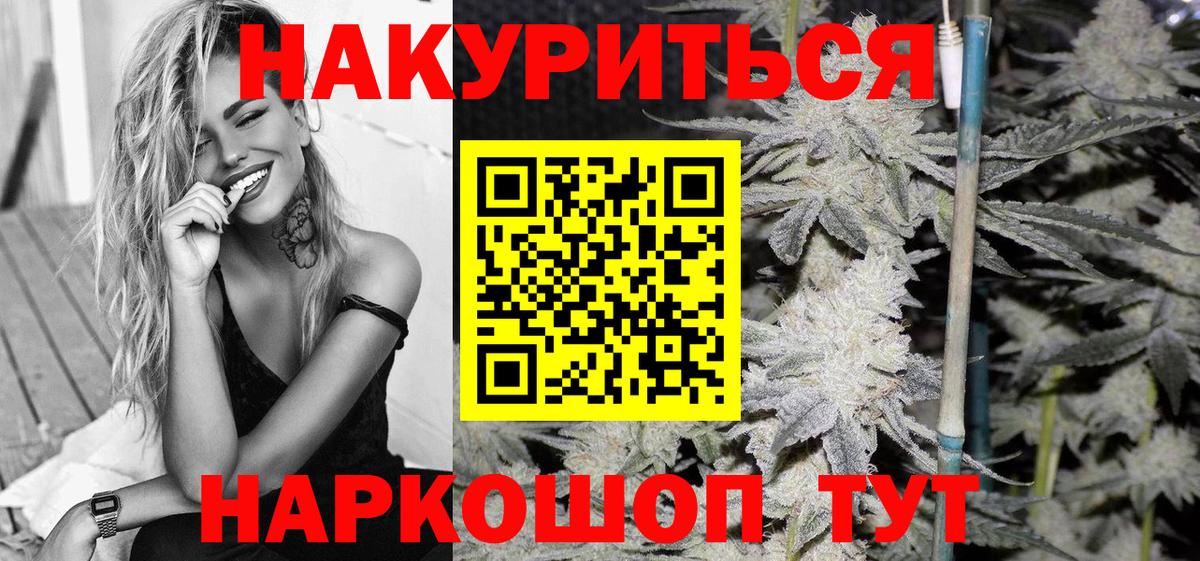 Бошки Шишки планчик Ставрополь